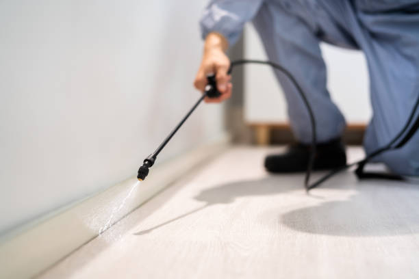 Professional exterminator conducting IPM assessment in Indiantown